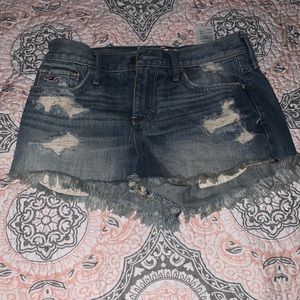Brand new Hollister shorts